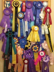 Some of the ribbons I've been awarded over the past 20 years.