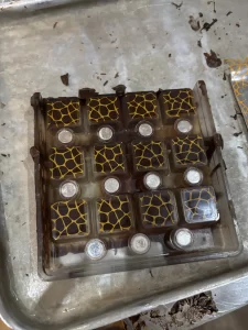 hand made truffles scotland