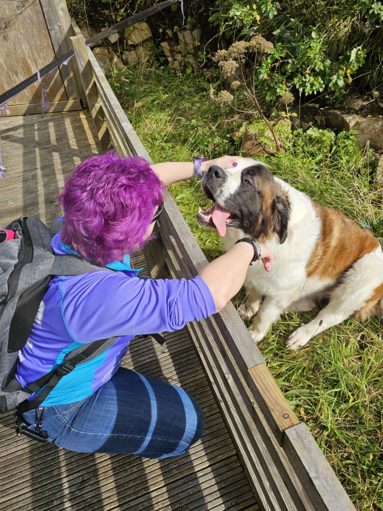 take a break with a dog outside